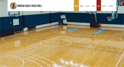 Desktop Screenshot of andrewbogutbasketball.com.au